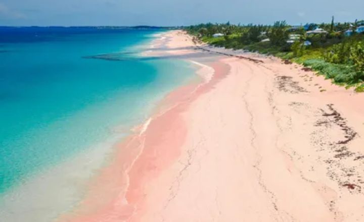 Pink Sand Clearwater Beach