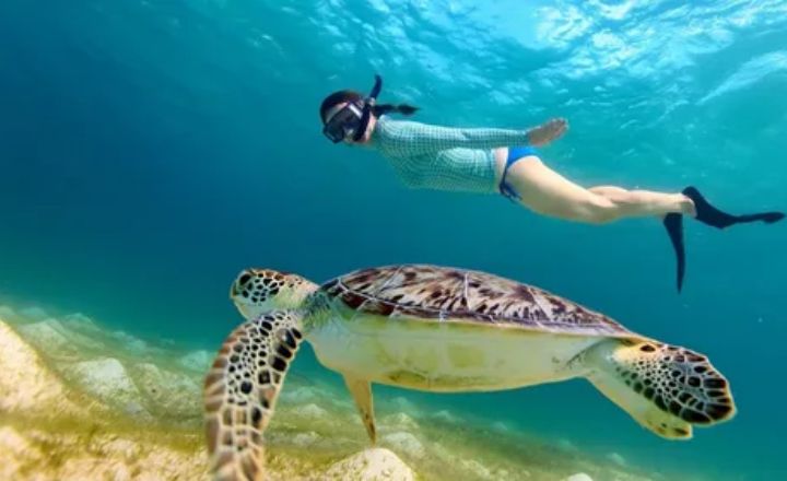 Best Places For Snorkeling in Marathon Florida