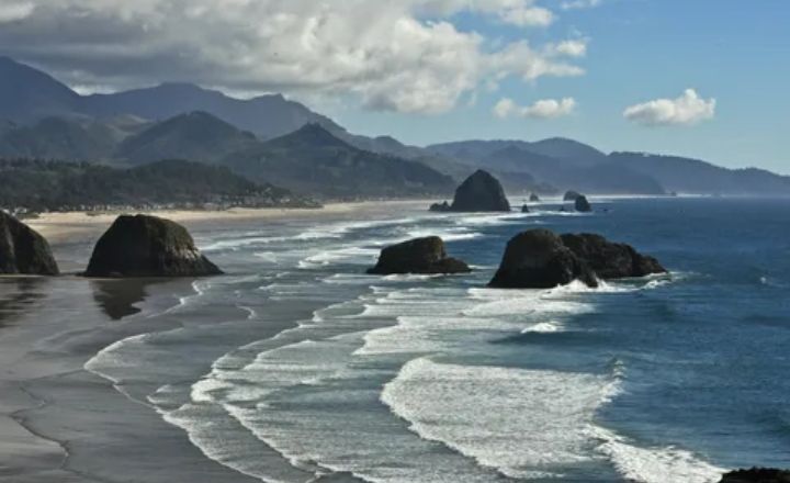 Cannon Beach in Pennekamp State Park